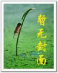 布衣王爷